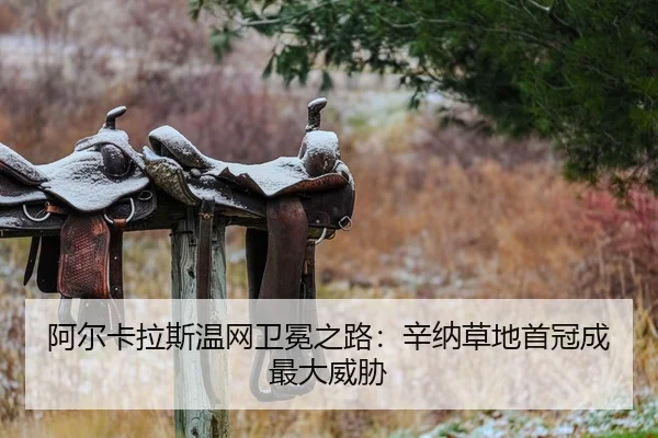 a-er-ka-la-si-wen-wang-wei-mian-zhi-lu-xin-na-cao-di-shou-guan-cheng-zui-da-wei-xie-2-679.jpg