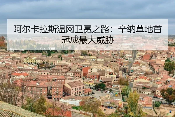 a-er-ka-la-si-wen-wang-wei-mian-zhi-lu-xin-na-cao-di-shou-guan-cheng-zui-da-wei-xie-3-253.jpg