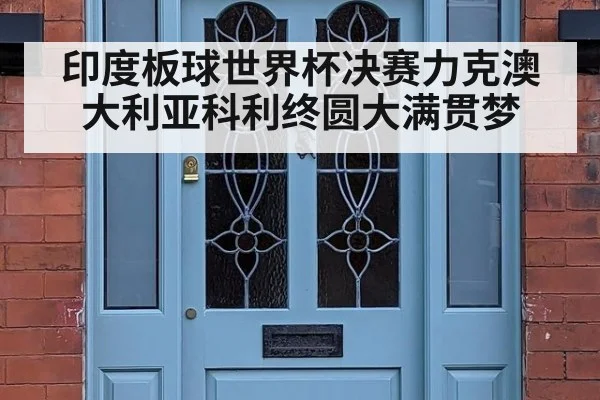 印度板球世界杯决赛力克澳大利亚科利终圆大满贯梦