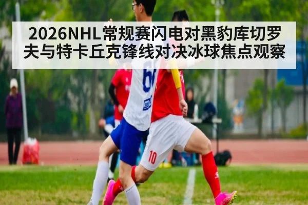 2026NHL常规赛闪电对黑豹库切罗夫与特卡丘克锋线对决冰球焦点观察